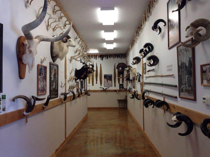 The Spear Hunting Museum in Summerdale, AL